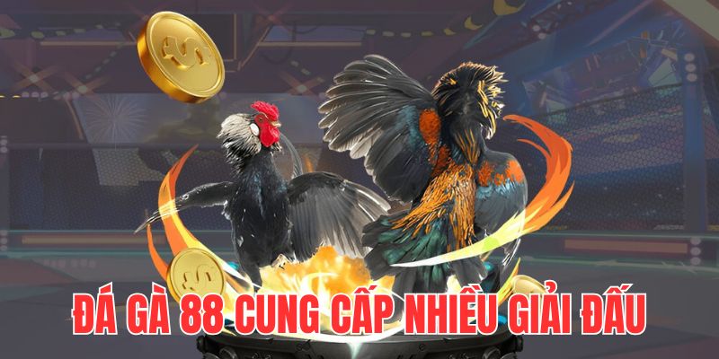 Đá Gà 88 - Cập Nhật Nhiều Giải Đấu Chất Lượng Năm 2025 2 da-ga-88-cap-nhat-nhanh-da-dang-giai-dau