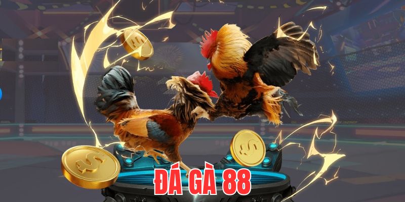 Đá Gà 88 - Cập Nhật Nhiều Giải Đấu Chất Lượng Năm 2025 1 vai-net-co-ban-ve-da-ga-88