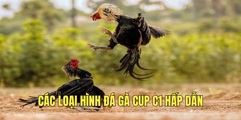 Đá Gà Cup C1 - Đấu Trường Đẳng Cấp Hàng Đầu Châu Á 2 cac-loai-hinh-dau-ke-cup-c1-hap-dan-hien-nay