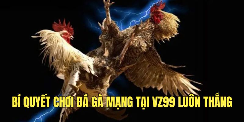 Đá Gà Mạng - Trải Nghiệm Cá Cược Chiến Kê Đỉnh Cao 2025 4 meo-choi-da-ga-truc-tuyen-tai-nha-cai-luon-thang