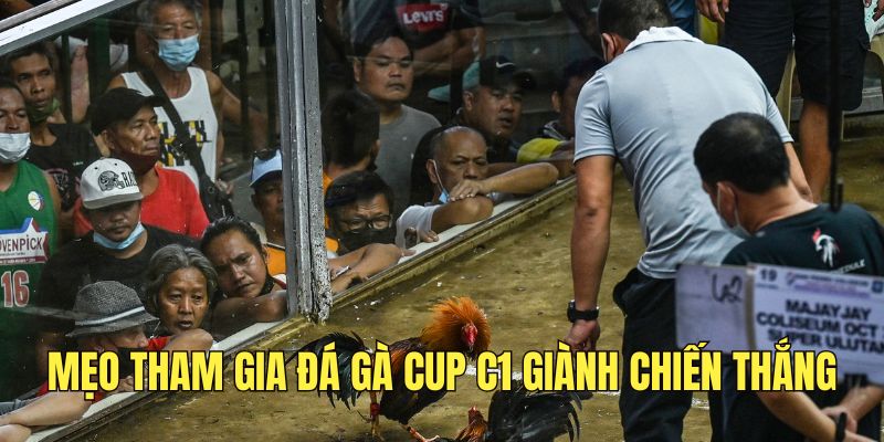 Đá Gà Cup C1 - Đấu Trường Đẳng Cấp Hàng Đầu Châu Á 4 nam-chac-meo-tham-gia-dau-ke-cup-c1-de-gianh-chien-thang
