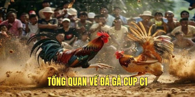 Đá Gà Cup C1 - Đấu Trường Đẳng Cấp Hàng Đầu Châu Á 1 tim-hieu-ve-giai-dau-da-ga-cup-c1-hap-dan